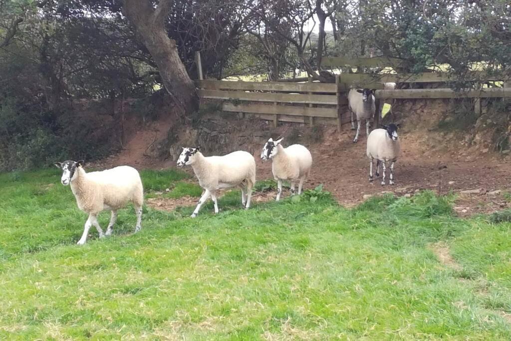 Farm Accommodation - The Lizard Peninsula, Cornwall Гелстон Екстер'єр фото