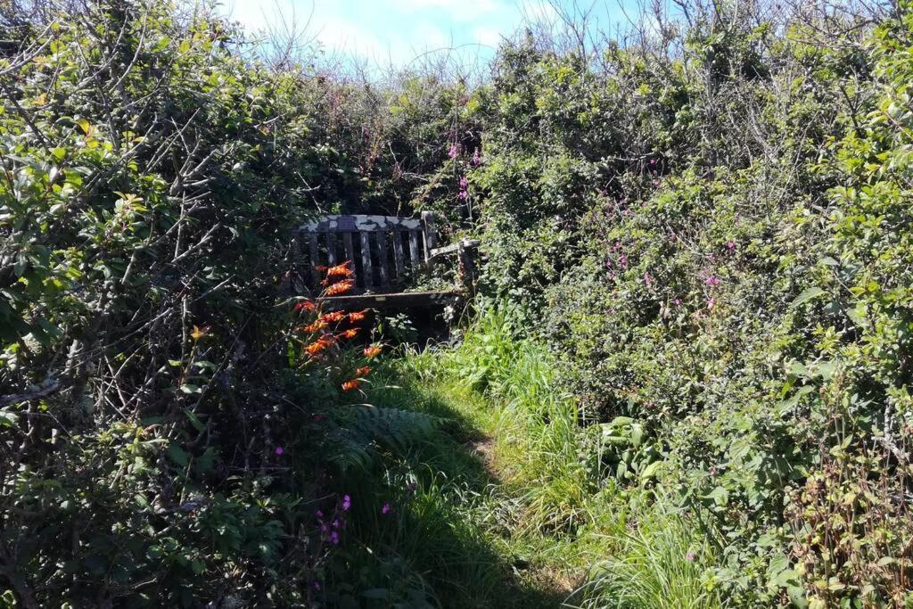 Farm Accommodation - The Lizard Peninsula, Cornwall Гелстон Екстер'єр фото
