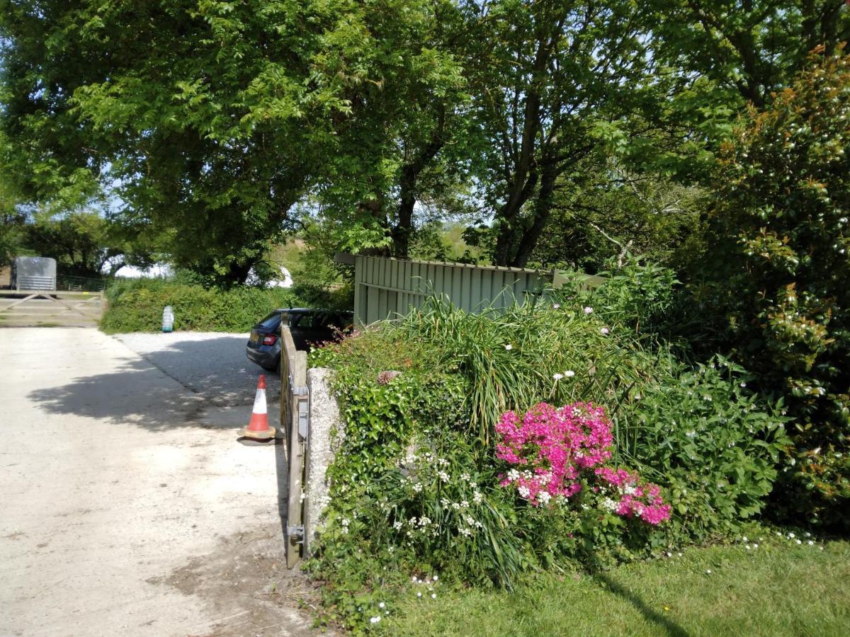 Farm Accommodation - The Lizard Peninsula, Cornwall Гелстон Екстер'єр фото